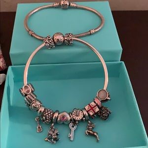 Pandora Bangle w/ All Charms  + Pandora Bracelet